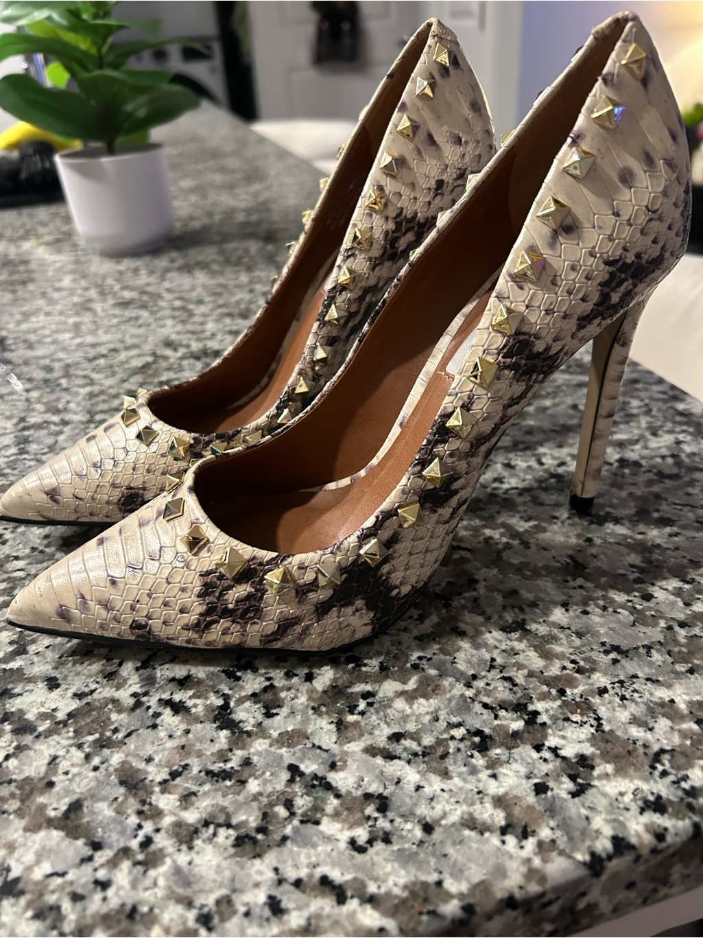 Steve Madden Beige Snake-Print Studded Pointed Toe Pumps (Nwot)